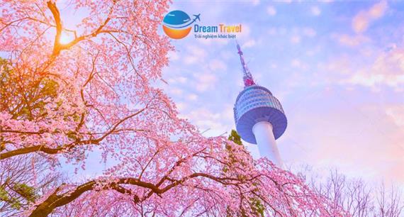 Tour Hàn Quốc Mùa Hoa Anh Đào 5N4Đ: Seoul - Nami - Everland